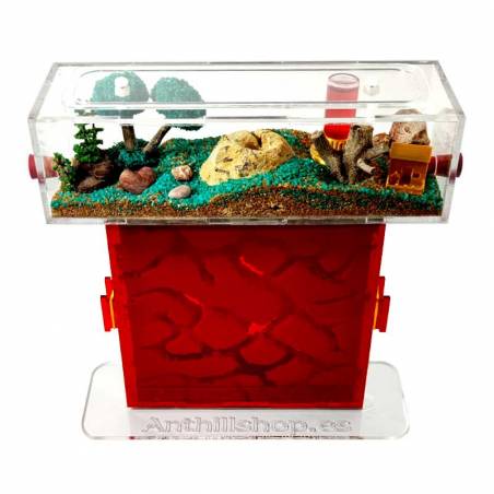 Tapa Roja para proteger a las hormigas de la luz para los hormigueros