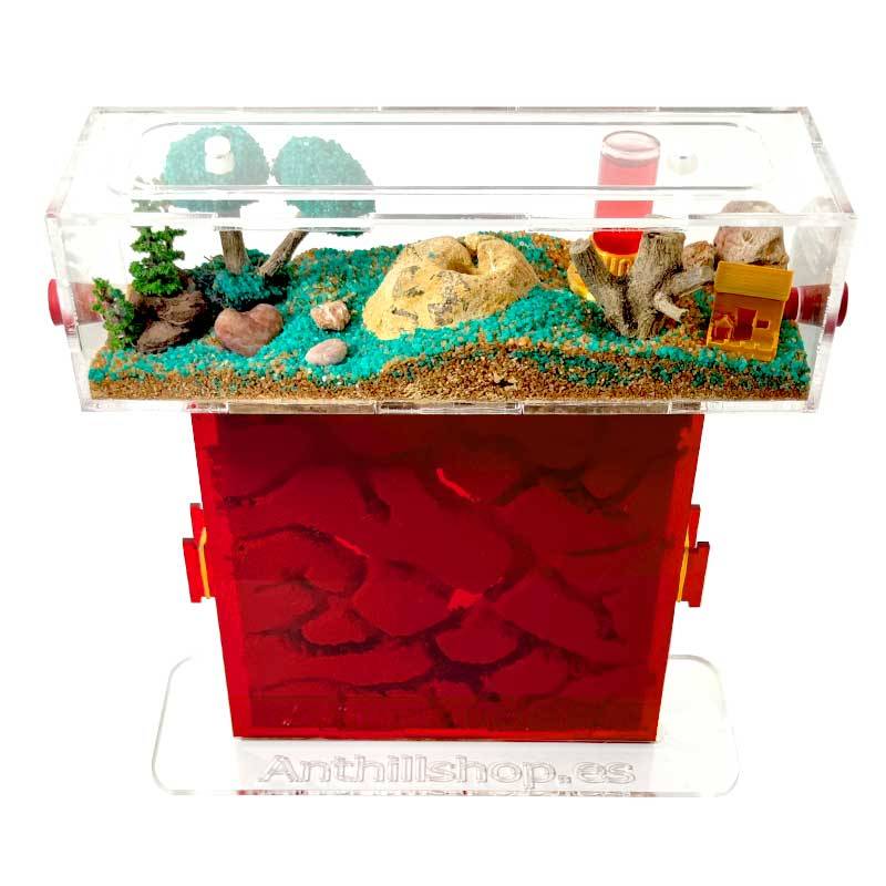 ▷ Coperchio rosso protettivo per proteggere le formiche