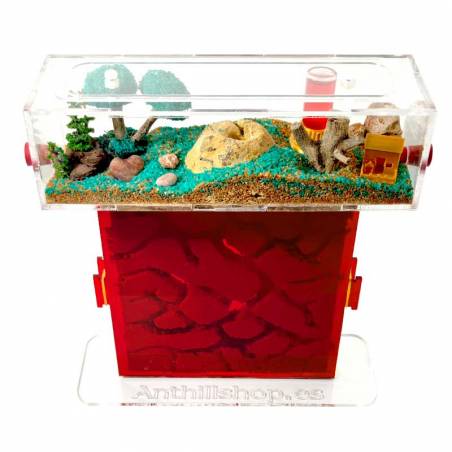 ▷ Coperchio rosso protettivo per proteggere le formiche