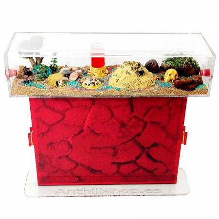 Double translucent red lid for T-Grande ant nests
