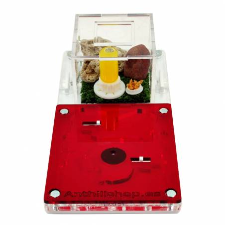 10 X 20 SCHAUMMITTEL MIT BEDRUCKTER BOX