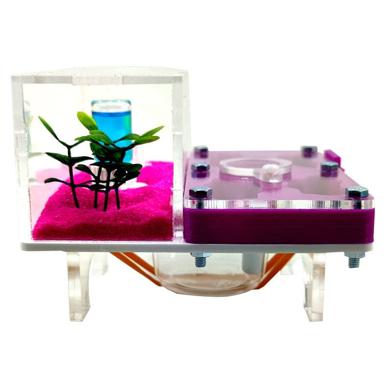 ▷Die besten Ameisenhaufen┃3D- und superökonomische Designs