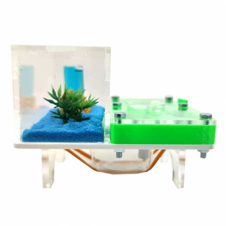 ▷Die besten Ameisenhaufen┃3D- und superökonomische Designs