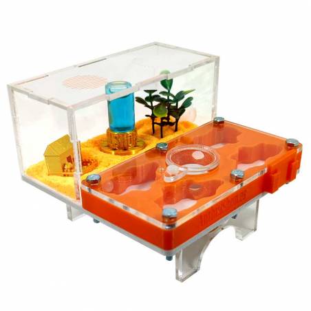 ▷Die besten Ameisenhaufen┃3D- und superökonomische Designs