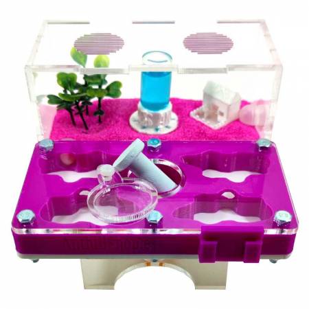 ▷Os melhores formigueiros┃Projetos 3D e super econômicos 2