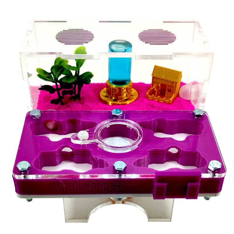 ▷Die besten Ameisenhaufen┃3D- und superökonomische Designs