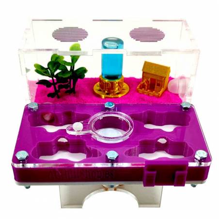 ▷Die besten Ameisenhaufen┃3D- und superökonomische Designs