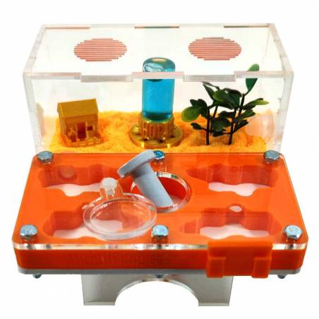 ▷Die besten Ameisenhaufen┃3D- und superökonomische Designs