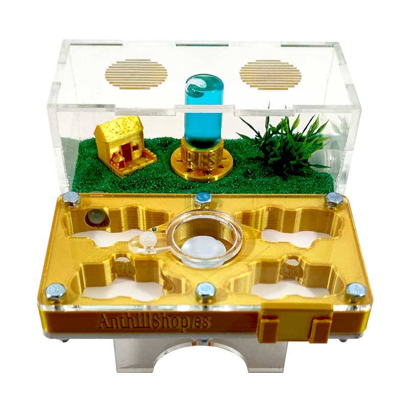 ▷Die besten Ameisenhaufen┃3D- und superökonomische Designs