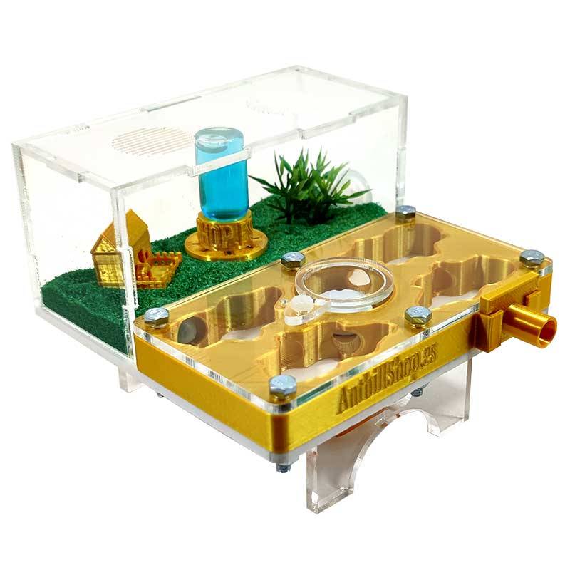 ▷Die besten Ameisenhaufen┃3D- und superökonomische Designs