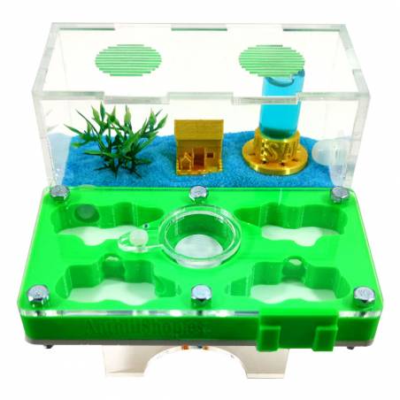 ▷Die besten Ameisenhaufen┃3D- und superökonomische Designs