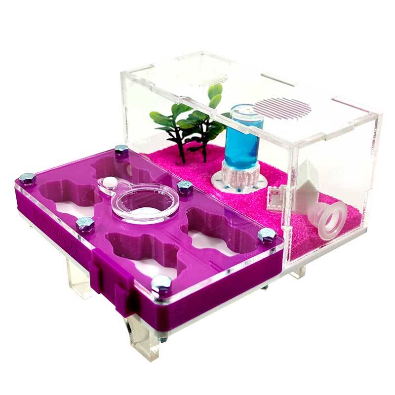 ▷Die besten Ameisenhaufen┃3D- und superökonomische Designs