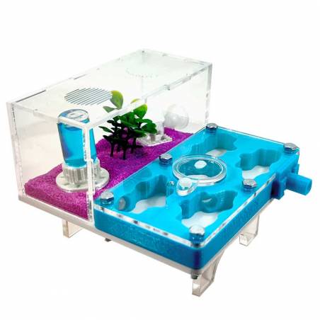 ▷Die besten Ameisenhaufen┃3D- und superökonomische Designs