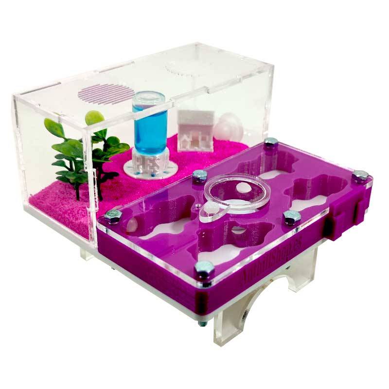 ▷Die besten Ameisenhaufen┃3D- und superökonomische Designs