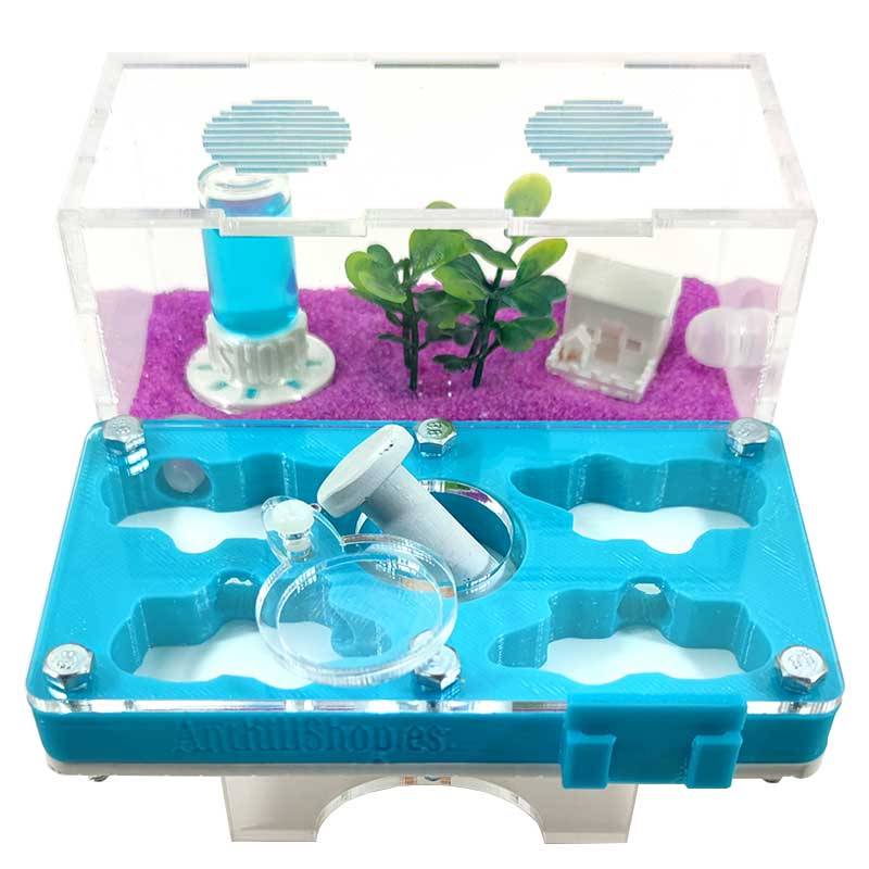 ▷Die besten Ameisenhaufen┃3D- und superökonomische Designs