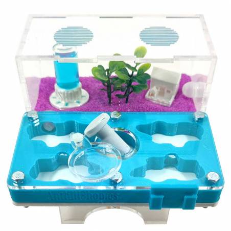 ▷Die besten Ameisenhaufen┃3D- und superökonomische Designs