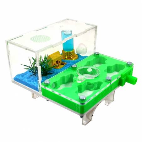 ▷Die besten Ameisenhaufen┃3D- und superökonomische Designs