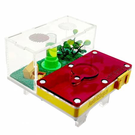 TAPA ROJA PROTECTORA TRANSLUCIDA PARA EL HORMIGUERO 12X12 SETA