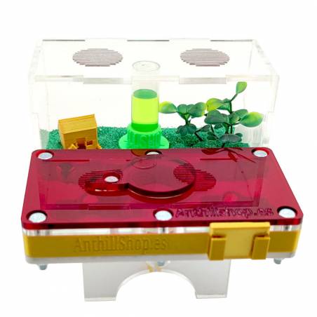 TAPA ROJA PROTECTORA TRANSLUCIDA PARA EL HORMIGUERO 12X12 SETA