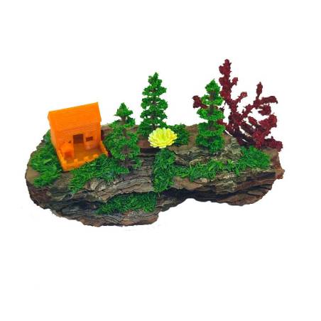 MINI BOSQUE PARA HORMIGUEROS