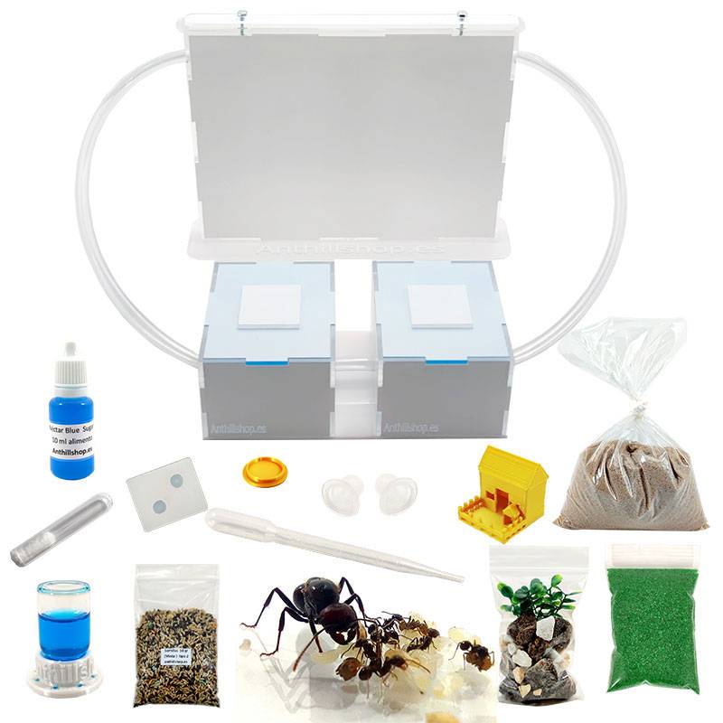 KIT HORMIGUERO SÁNDWICH GRANDE DE ARENA MÁS CAJA DOBLE