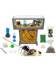 Kit Hormiguero T- Mini de Arena Natural 15x5x16 - Hormigas Gratis Incluidas┃de 20-30 Hormigas 2