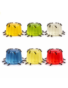 🐜 Gelatina Proteica para Hormigas | Golosina Energética con Sabores Naturales