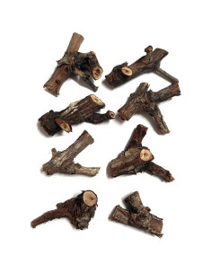 Mini Troncos Decorativos Naturales para Hormigueros y Mini Terrarios Botánicos