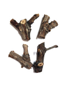 Mini Troncos Decorativos Naturales para Hormigueros y Mini Terrarios Botánicos 2