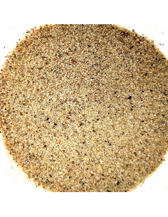 Arena del Desierto Natural para Hormigueros y Cajas de Forrajeo | 100g y 500g – AnthillShop.es