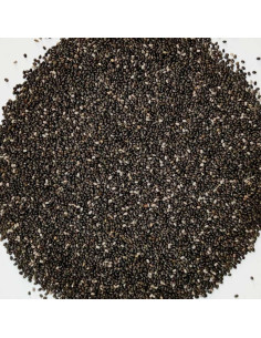 Semillas de Chía 25g para Hormigas Granívoras | Alimentación Natural – AnthillShop.es
