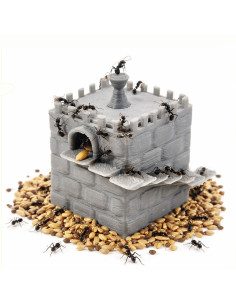 🌾Catillo Dispensador de Semillas para Hormigas Granívoras | Pequeño y Mediano – AnthillShop.es