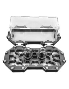 🐜Kit Hormiguero Modular 3D Pro 10x20 + Caja de Forrajeo 10x20 | AnthillShop 2