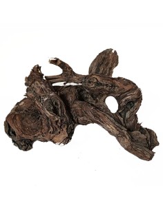 Troncos Naturales para Terrarios y Hormigueros – Decoración Natural | AnthillShop