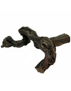 Troncos Naturales para Terrarios y Hormigueros – Decoración Natural | AnthillShop 2