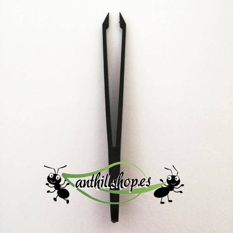 black precision plastic tongs for handling ants