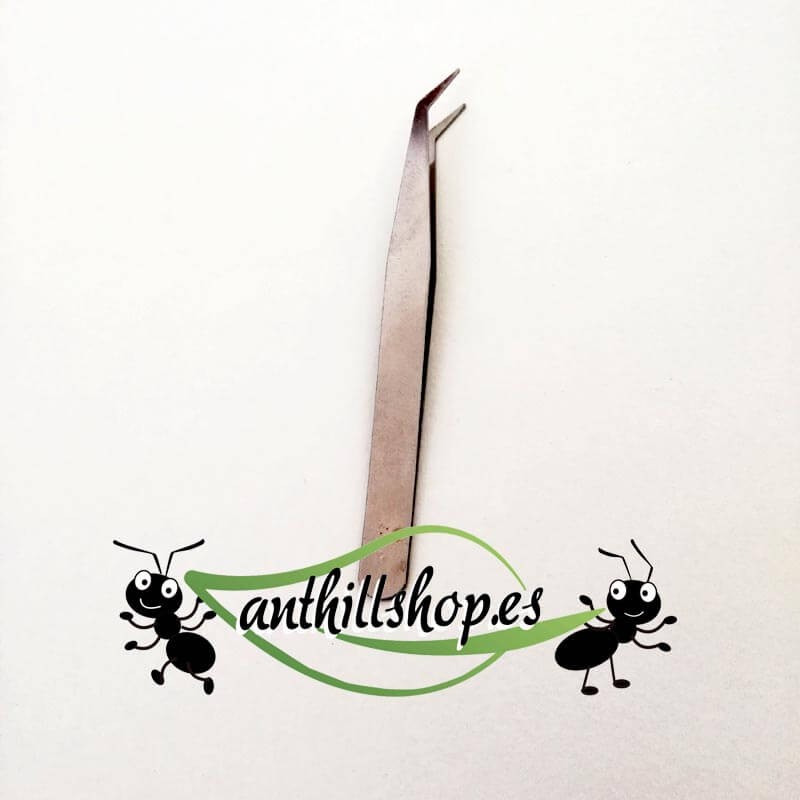 precision curved nose tweezers for cleaning anthills