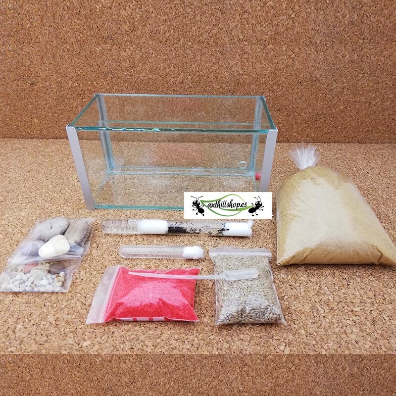 cristal 1 con accesorios y decoración