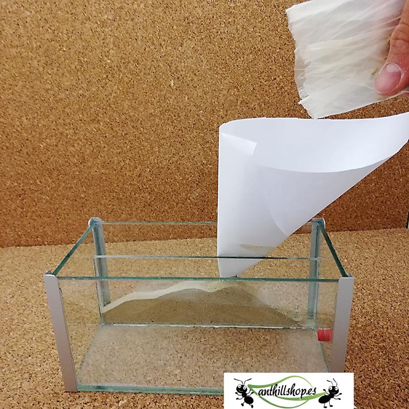 granja de hormigas cristal 1 para profesionales