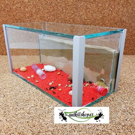 caja rectangular 20 X 10 X 10 cm hormiguero mas caja de forrajeo integrada